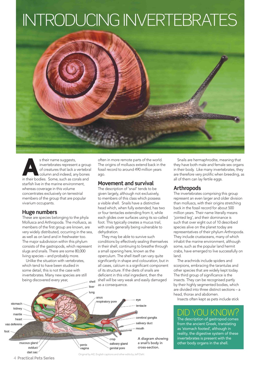 Practical Reptile Keeping Preview Pages