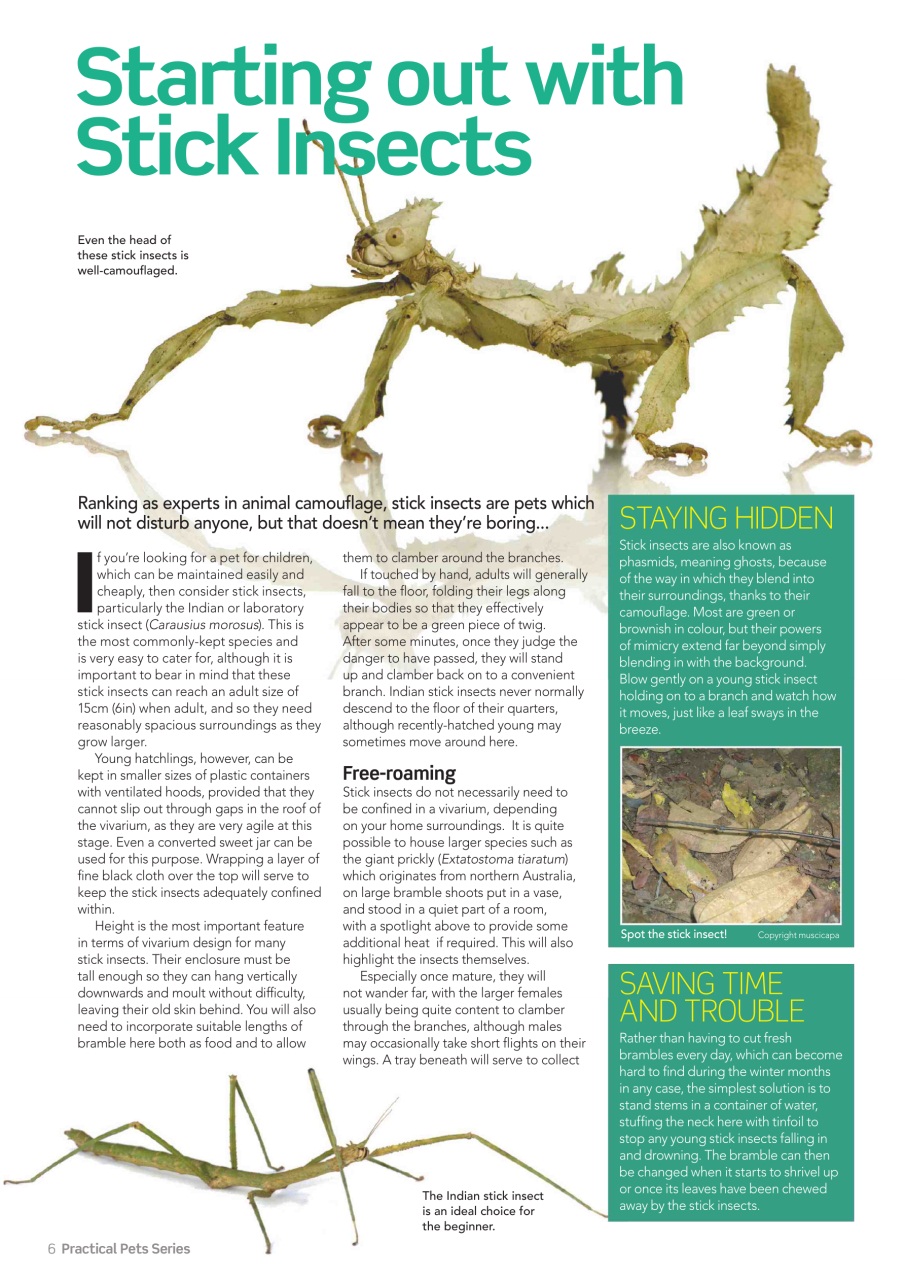 Practical Reptile Keeping Preview Pages