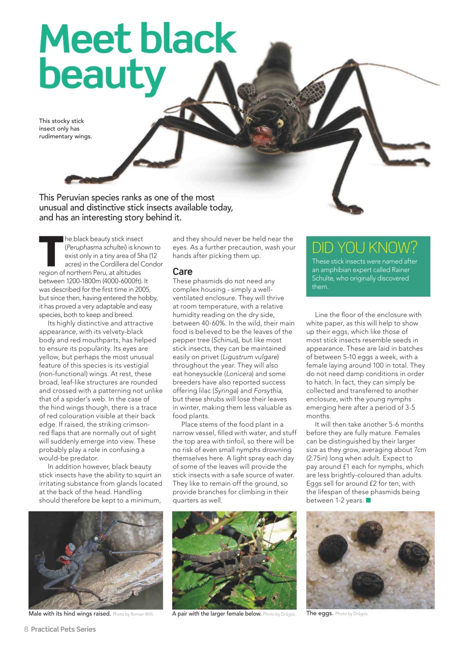 Practical Reptile Keeping Preview Pages