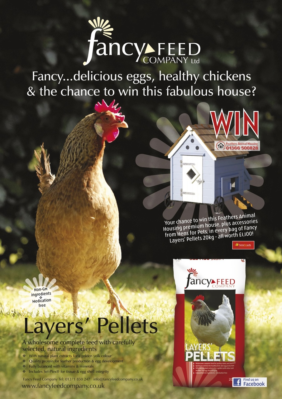 Practical Poultry Preview Pages