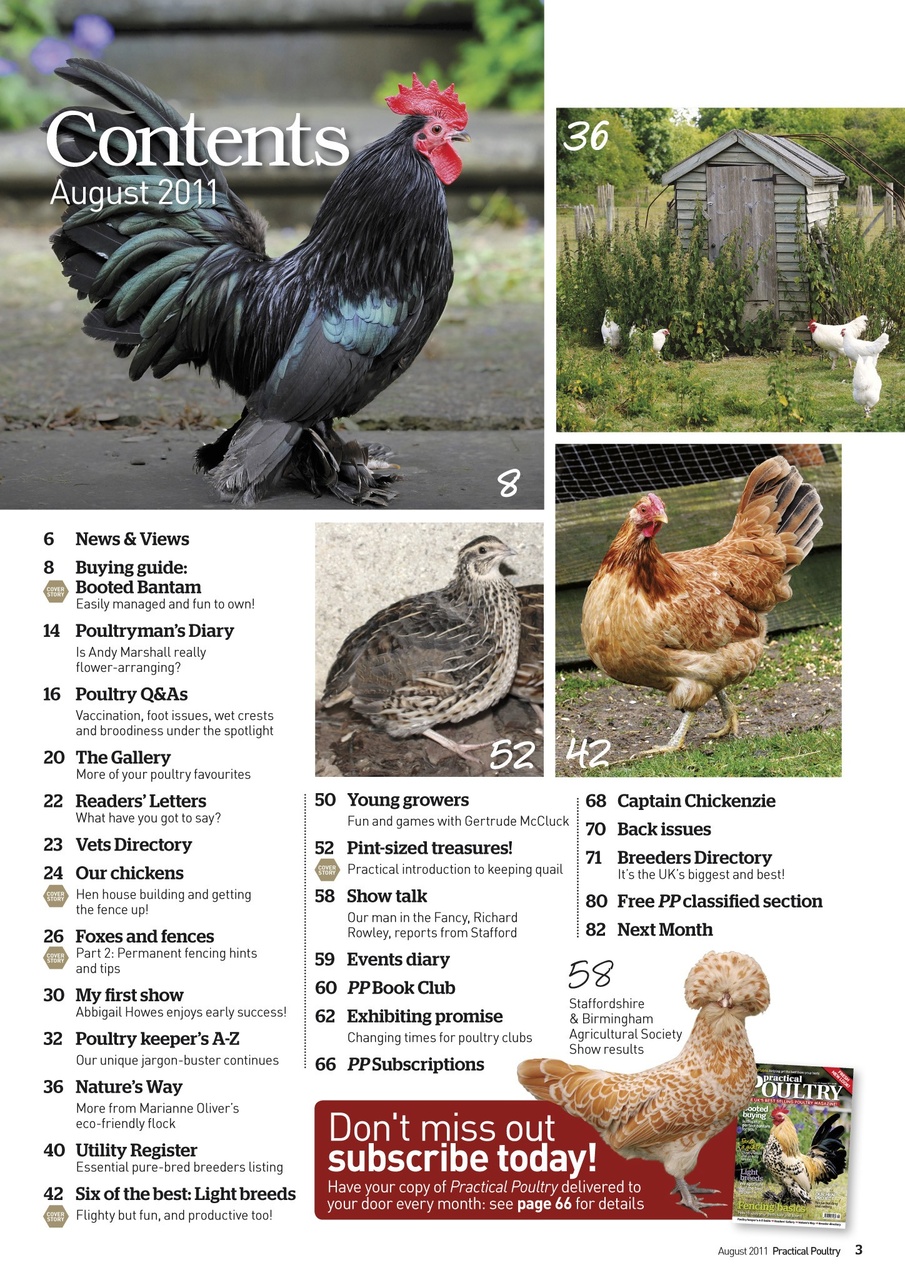 Practical Poultry Preview Pages