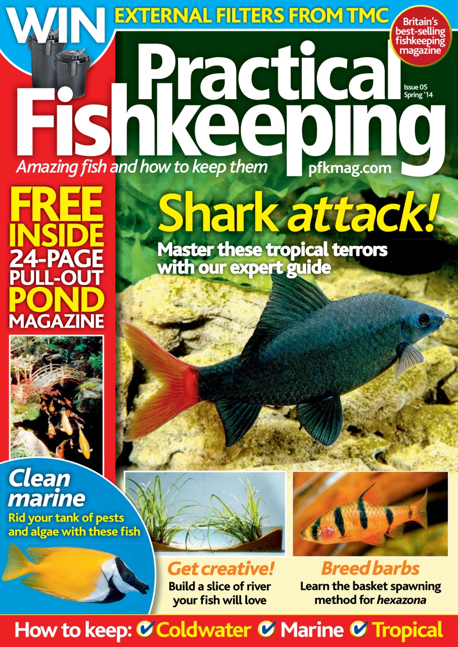 Practical Fishkeeping Preview Pages