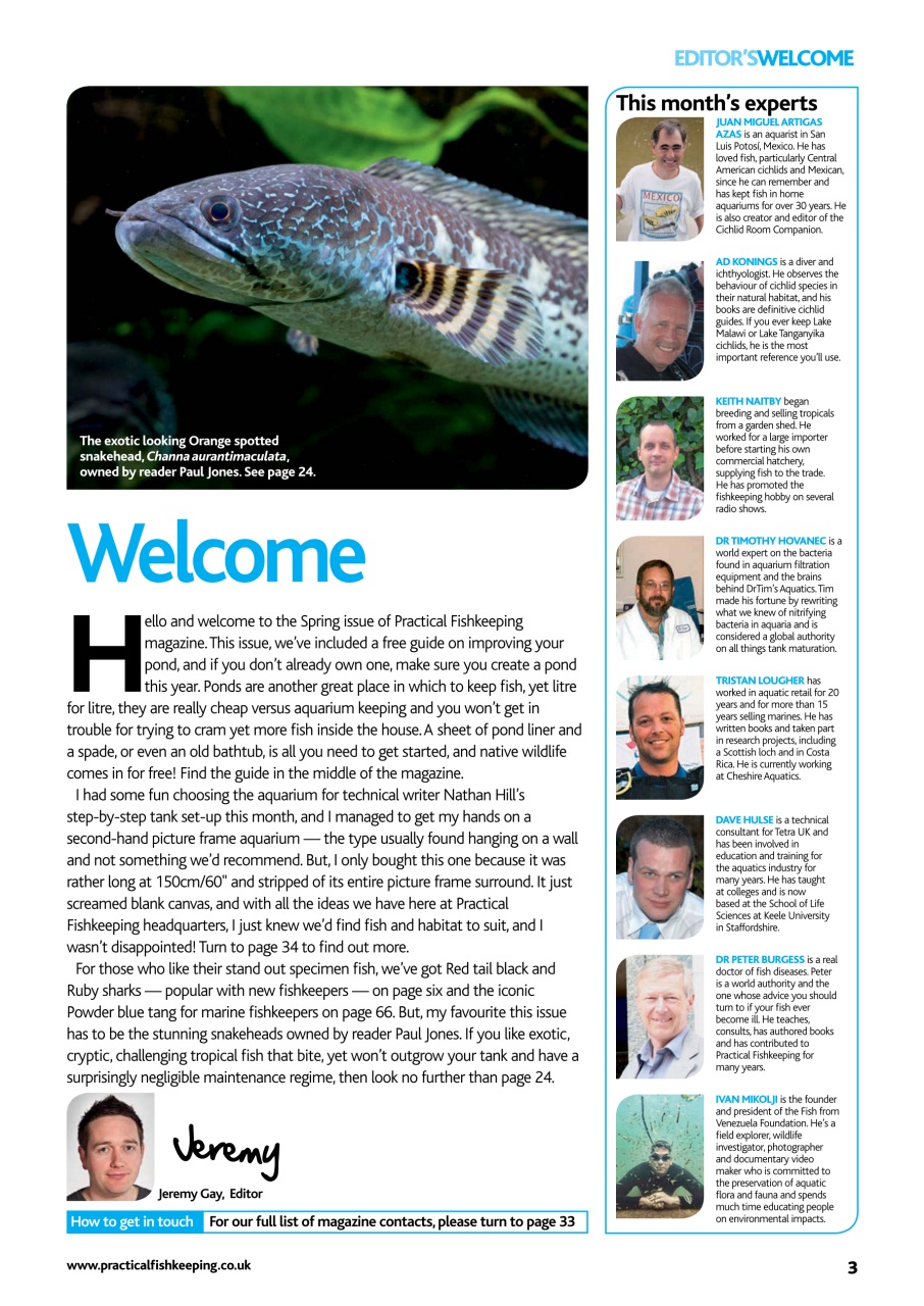 Practical Fishkeeping Preview Pages