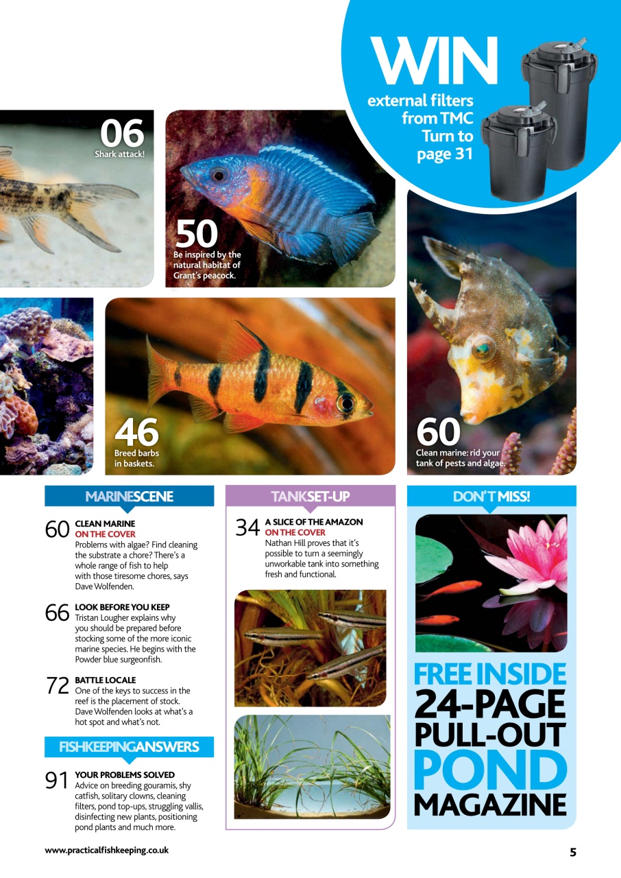 Practical Fishkeeping Preview Pages