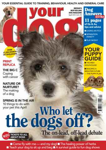 Your Dog issue Your Dog Magazine April 2014