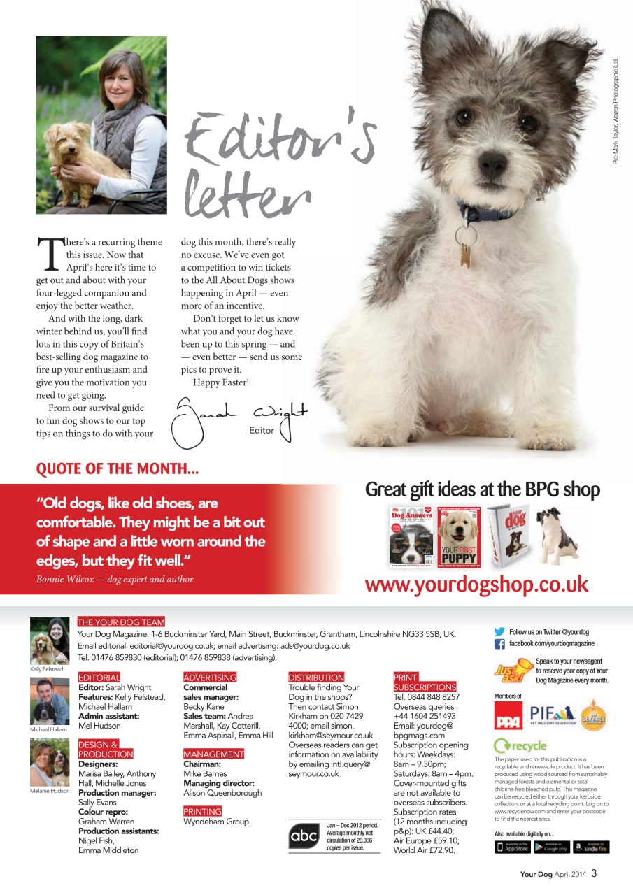 Your Dog Preview Pages