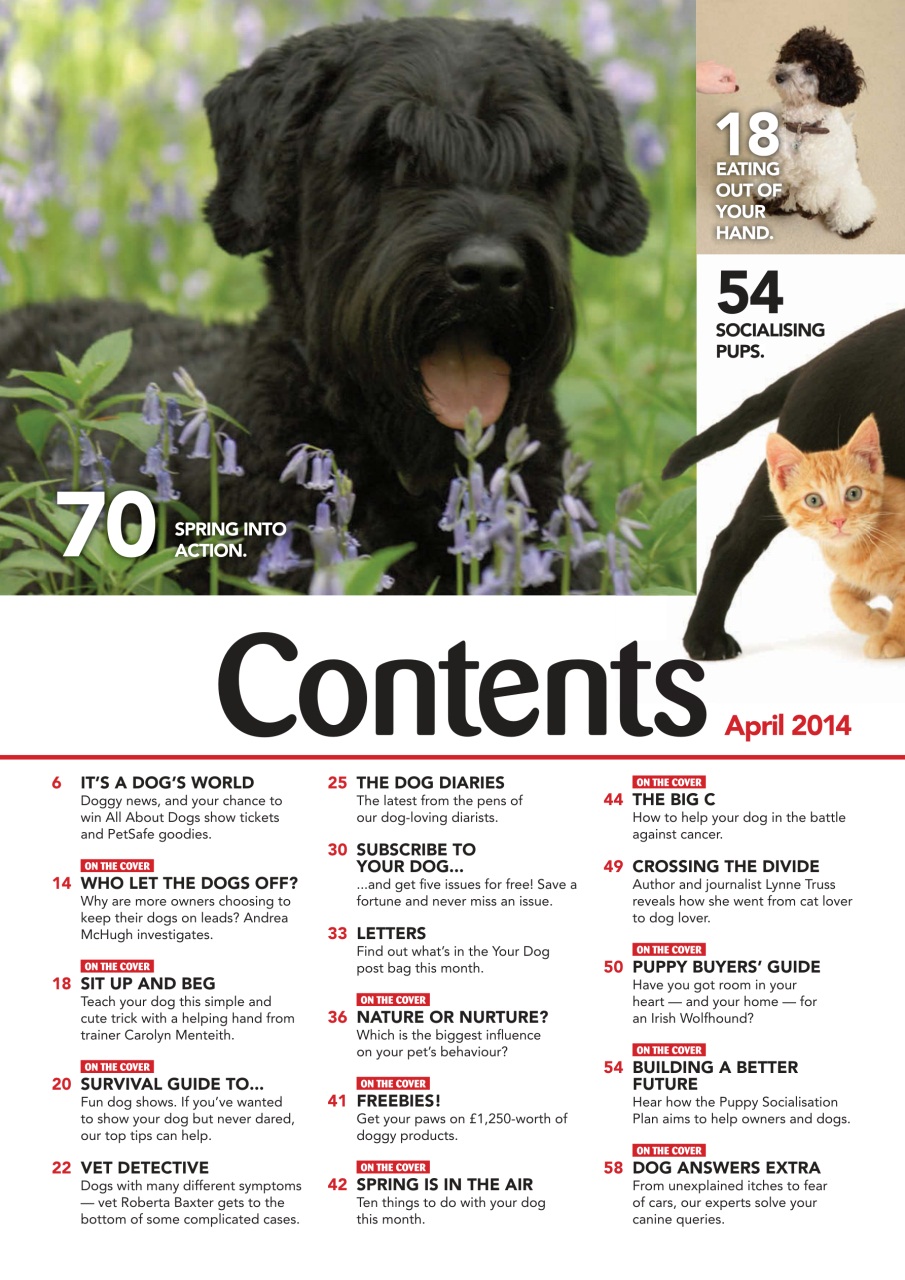 Your Dog Preview Pages