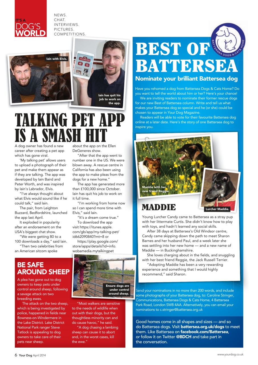 Your Dog Preview Pages