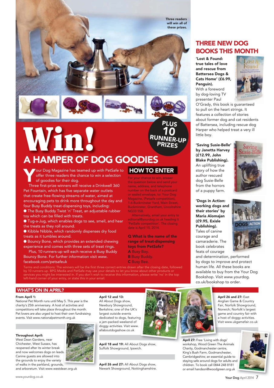 Your Dog Preview Pages