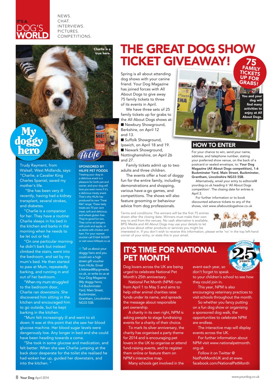 Your Dog Preview Pages