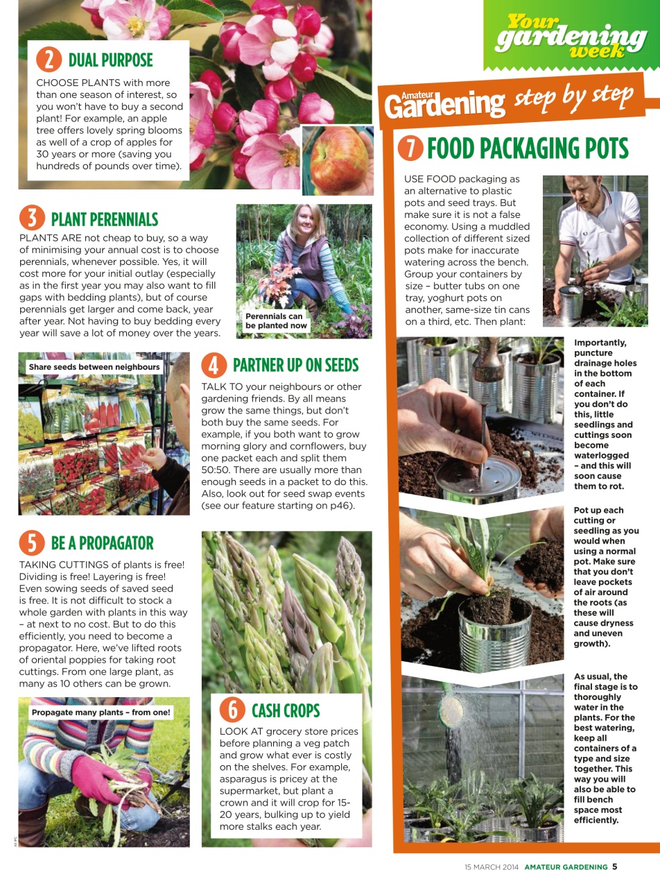 Amateur Gardening Preview Pages