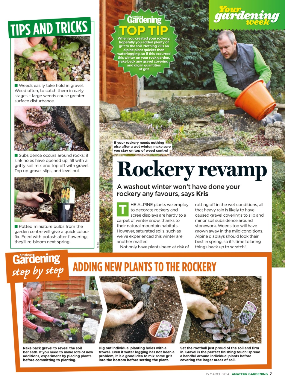 Amateur Gardening Preview Pages
