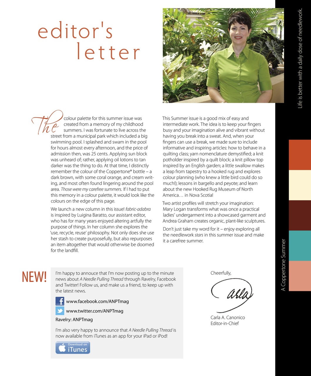 A Needle Pulling Thread Preview Pages