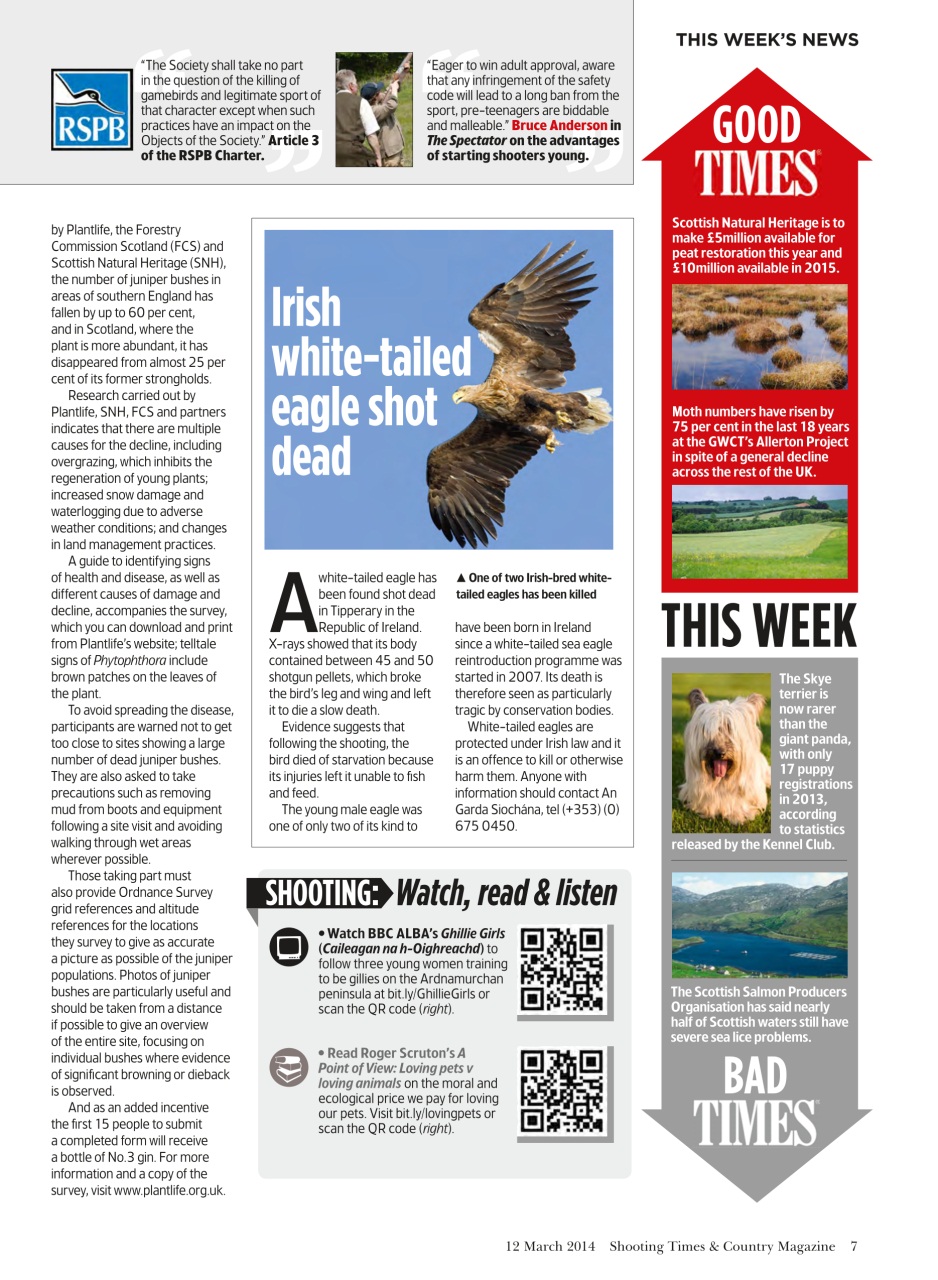 Shooting Times & Country Preview Pages