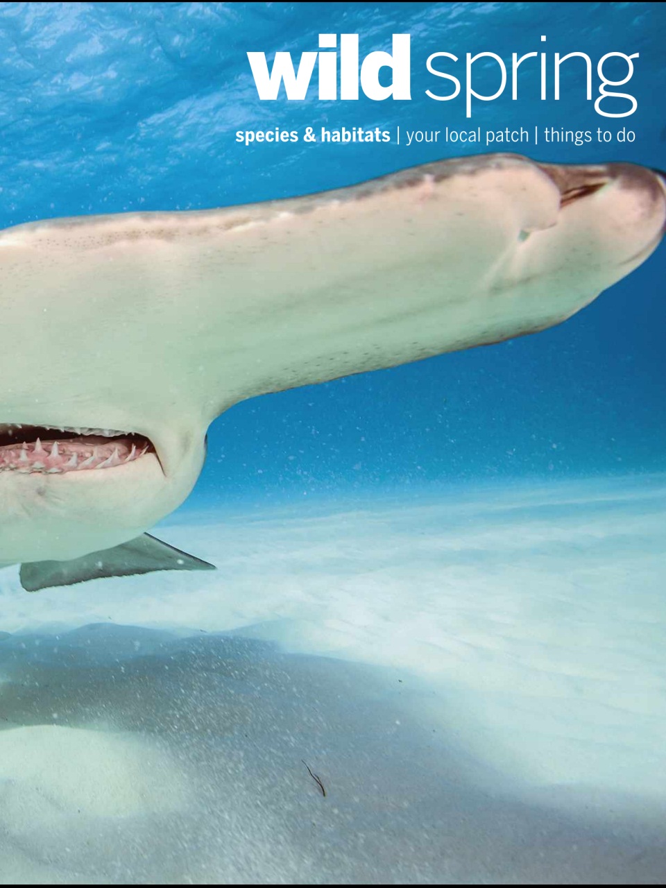 BBC Wildlife Magazine Preview Pages