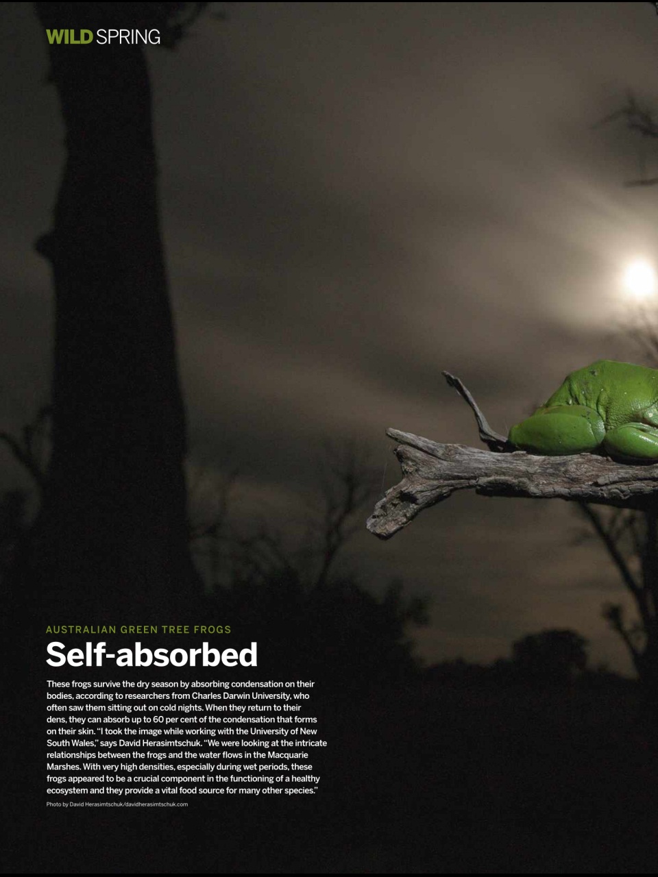 BBC Wildlife Magazine Preview Pages
