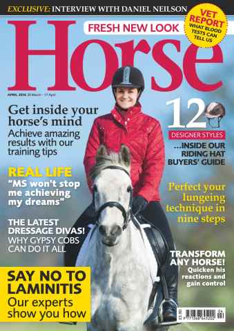 Horse issue April 2014