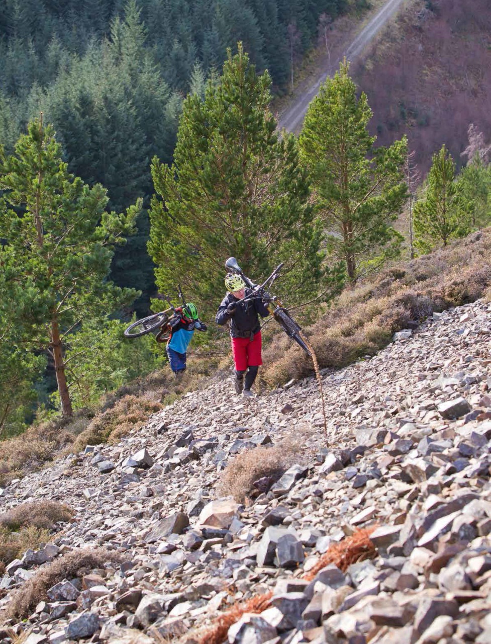 Singletrack Preview Pages