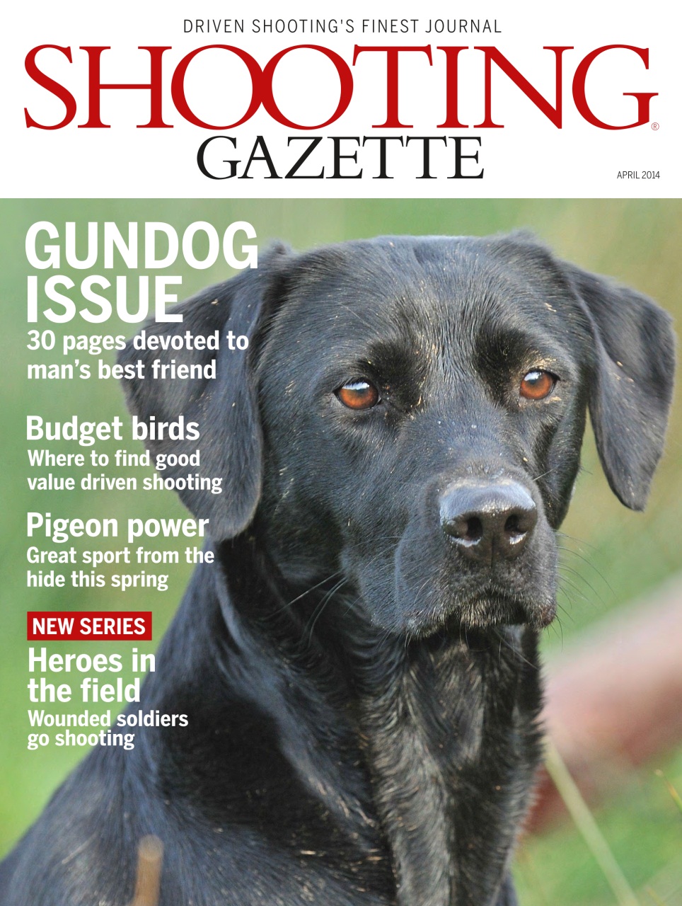 Shooting Gazette Preview Pages