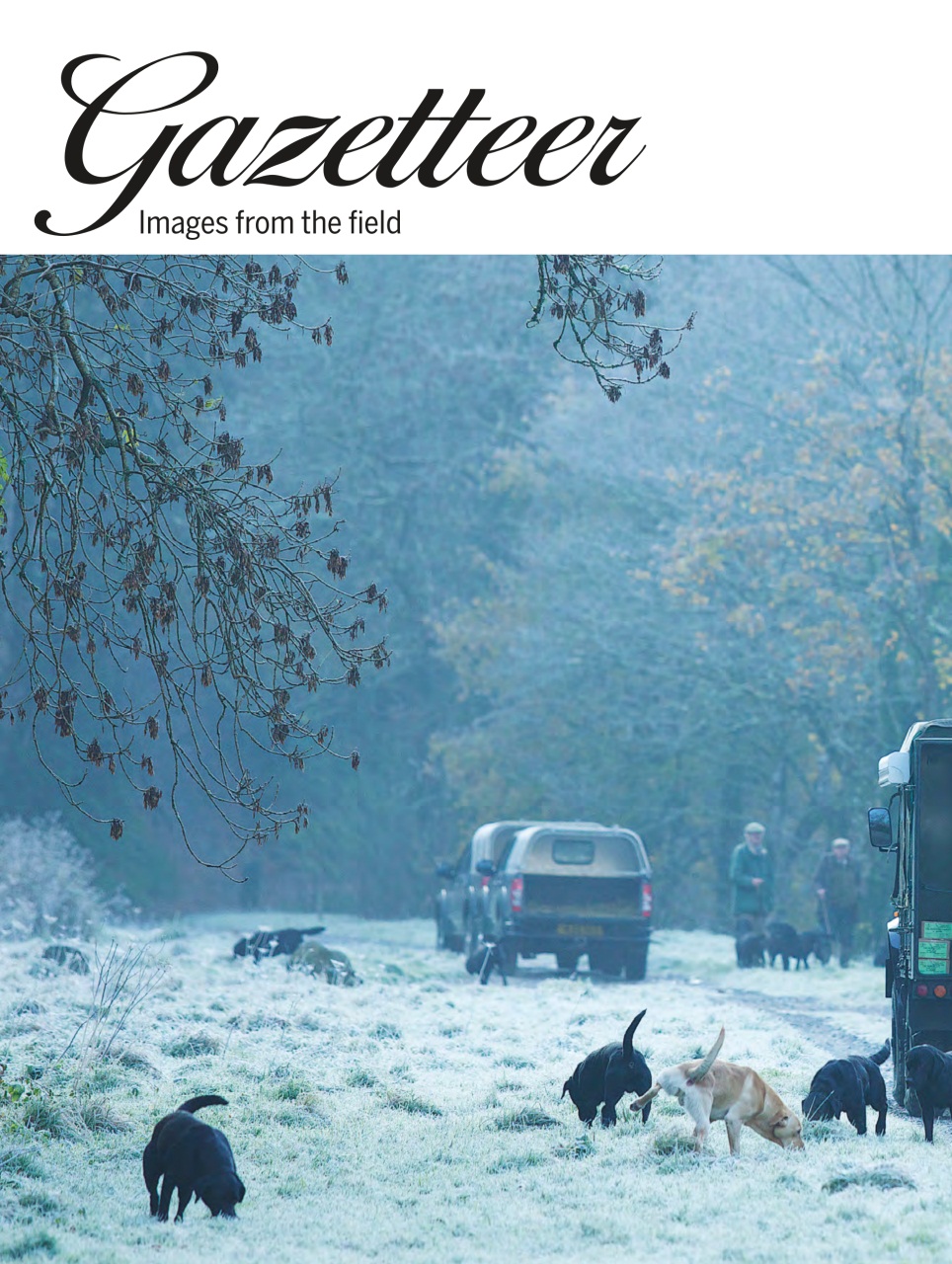 Shooting Gazette Preview Pages