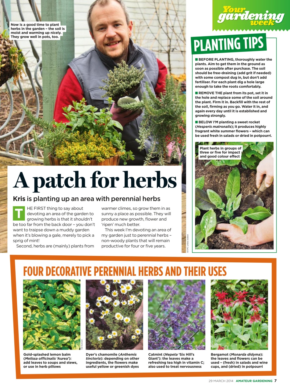 Amateur Gardening Preview Pages