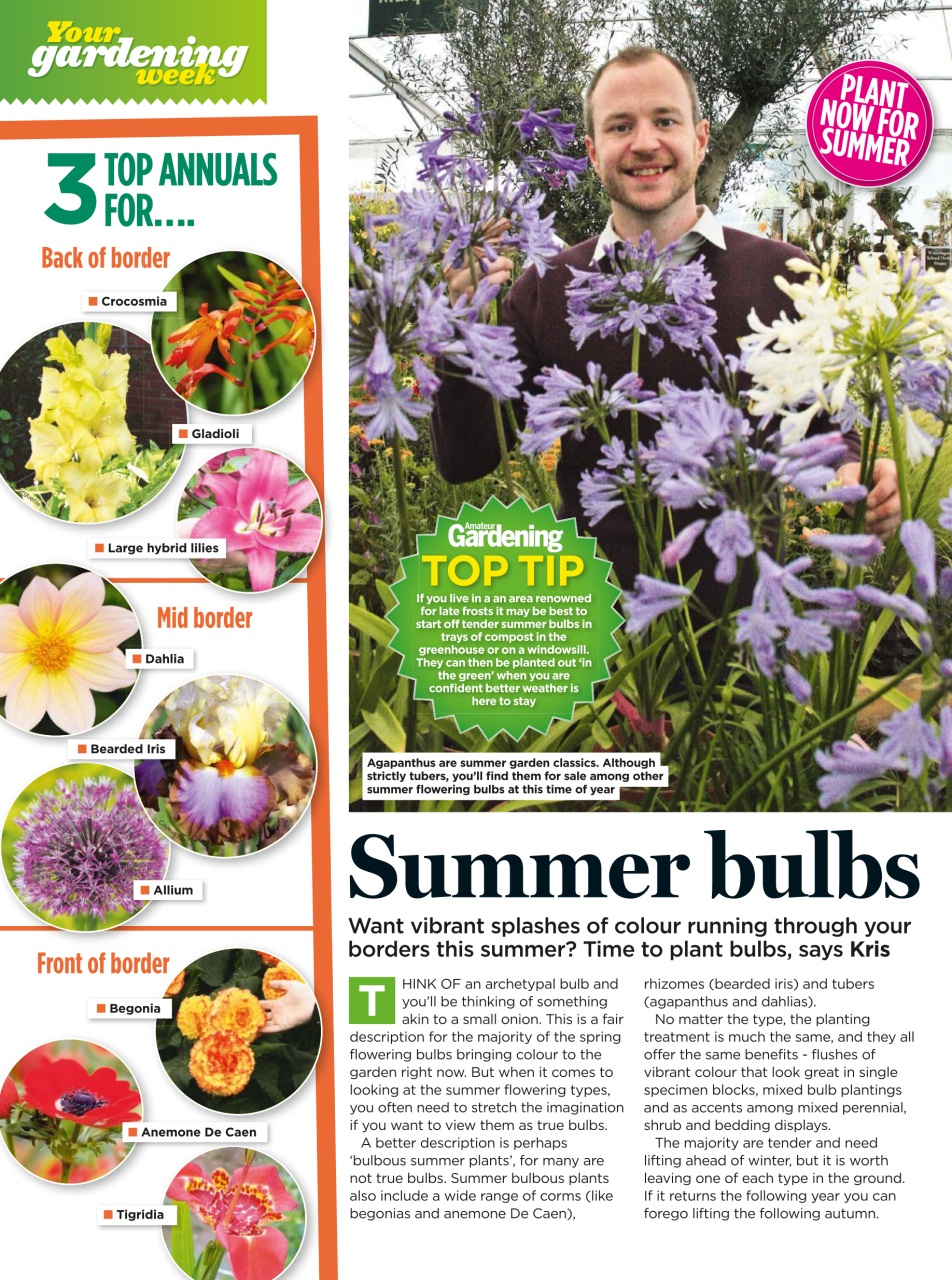 Amateur Gardening Preview Pages