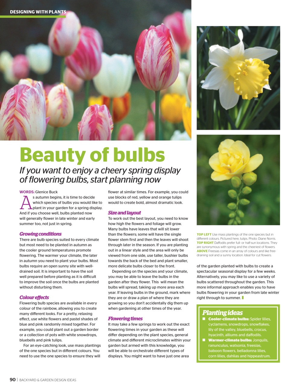 Backyard & Outdoor Living Preview Pages