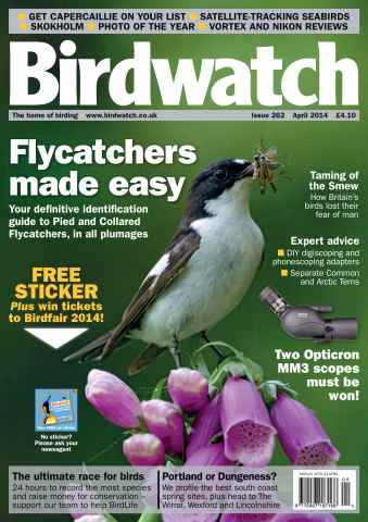 Birdwatch Magazine issue April Issue