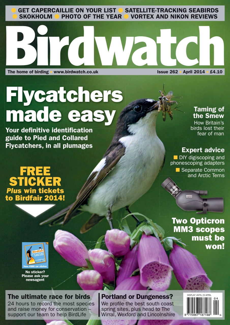 Birdwatch Magazine Preview Pages