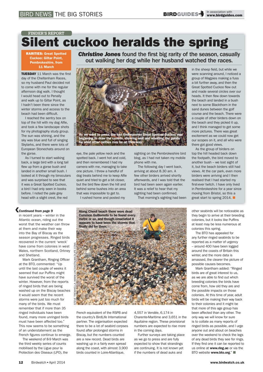 Birdwatch Magazine Preview Pages