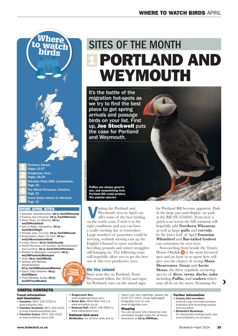 Birdwatch Magazine Preview Pages