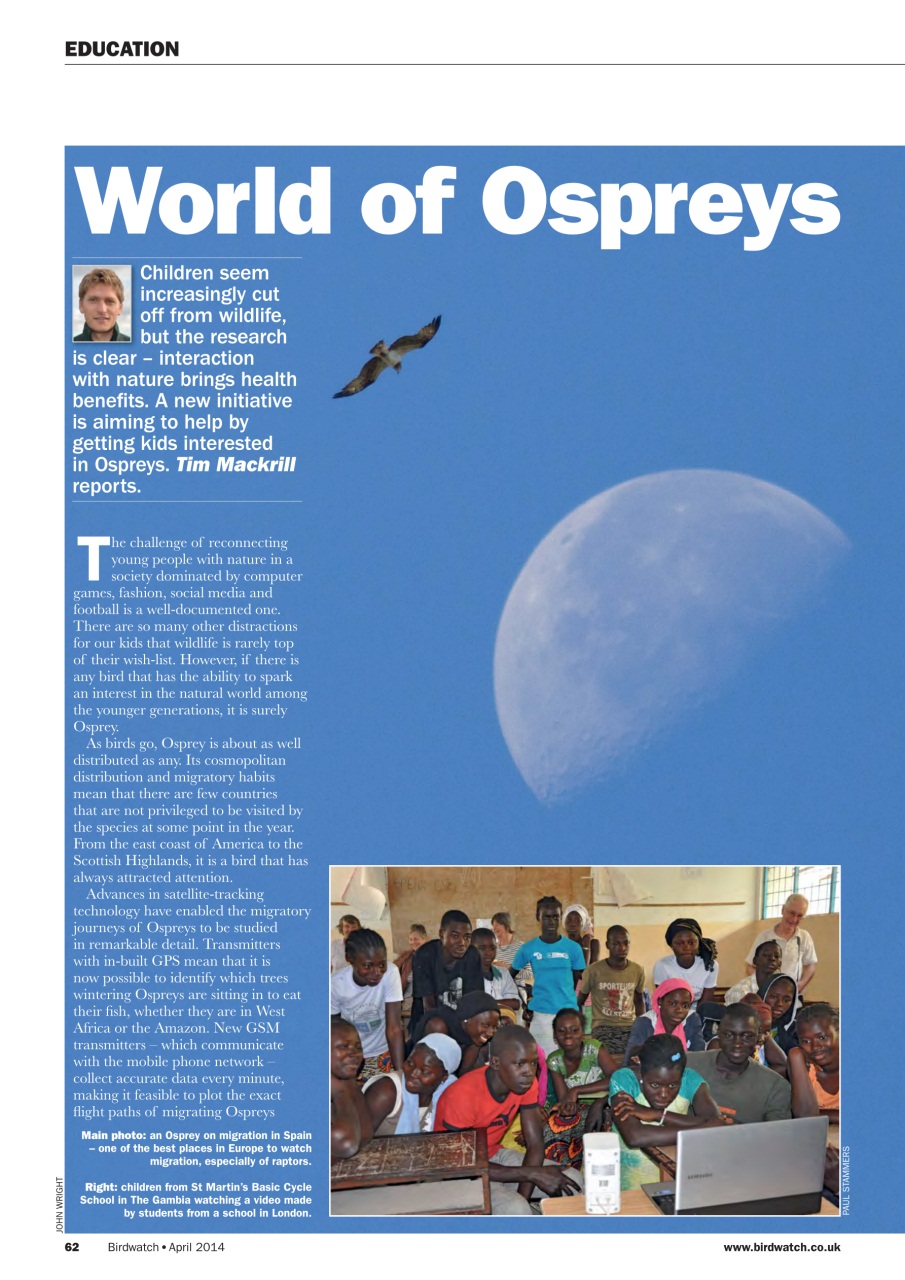 Birdwatch Magazine Preview Pages