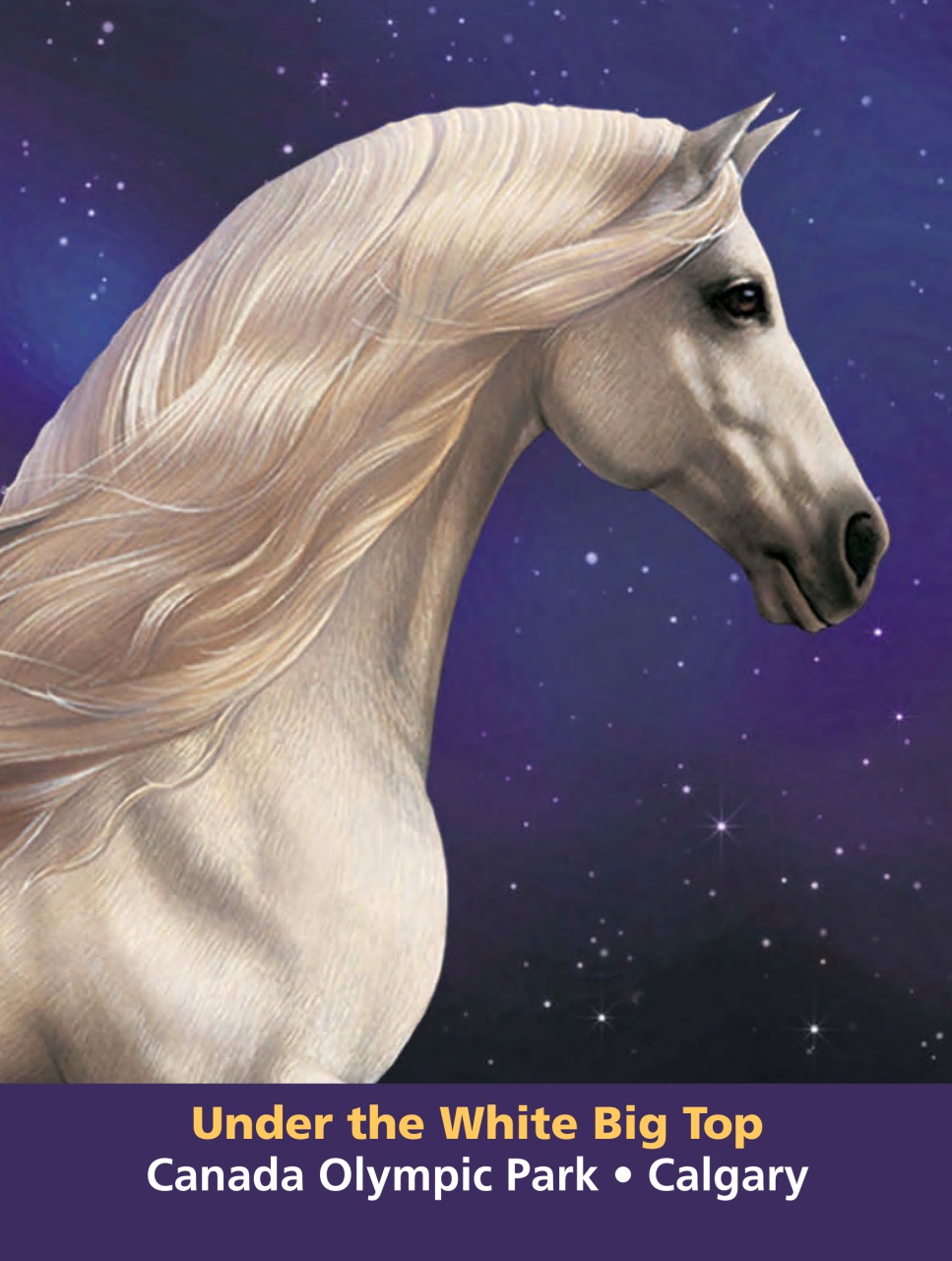 Canadian Cowboy Country Preview Pages