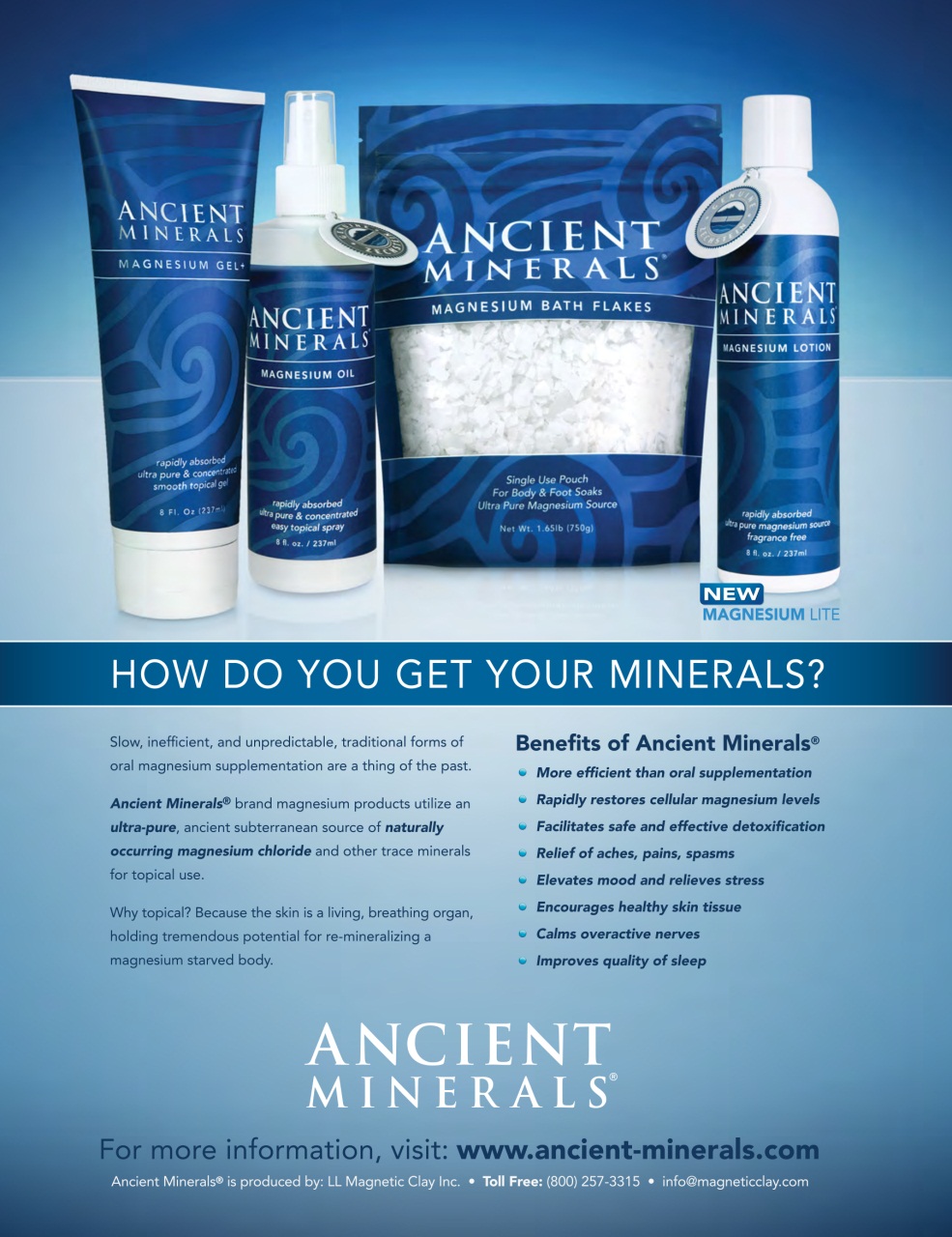 Well Being Journal Preview Pages