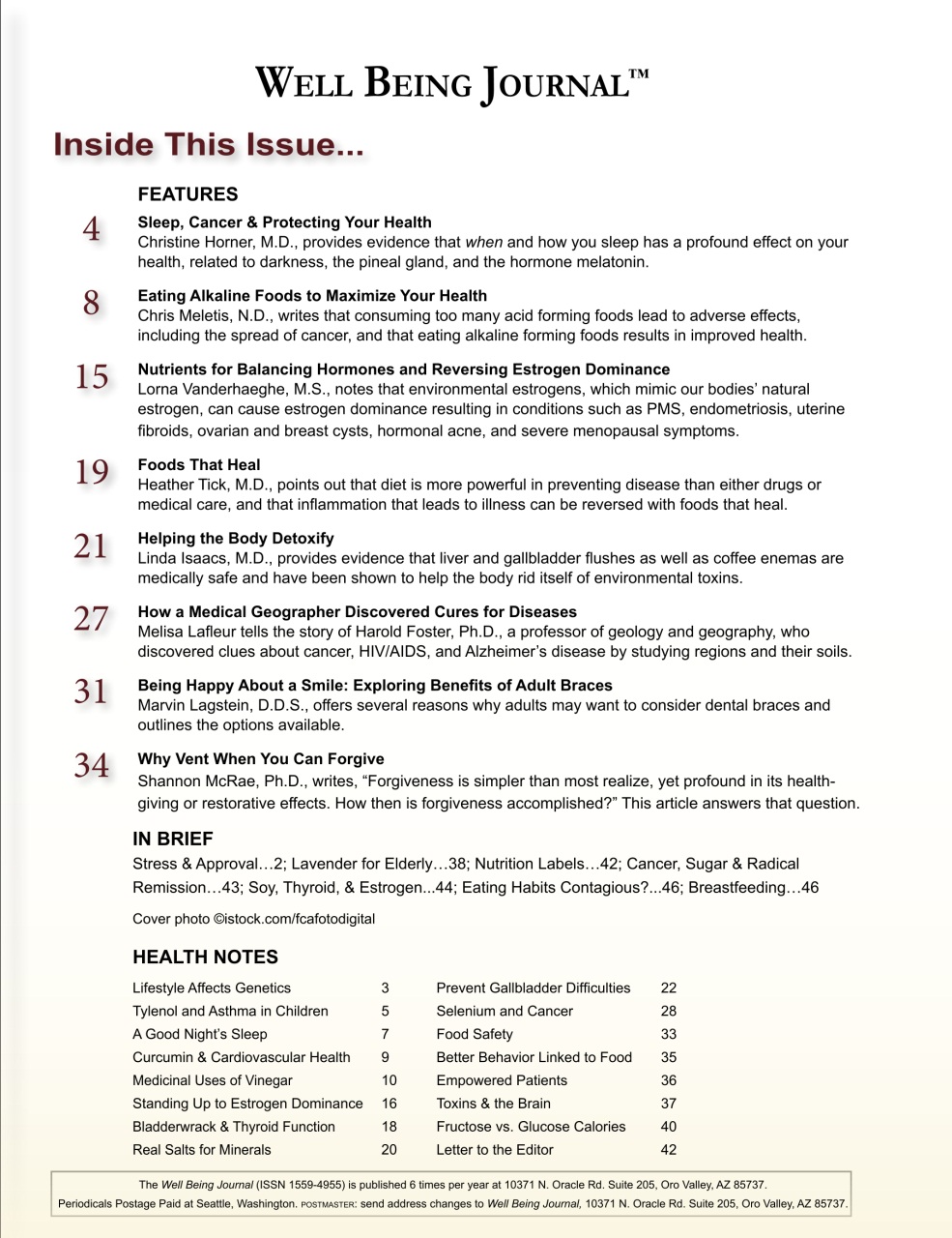 Well Being Journal Preview Pages