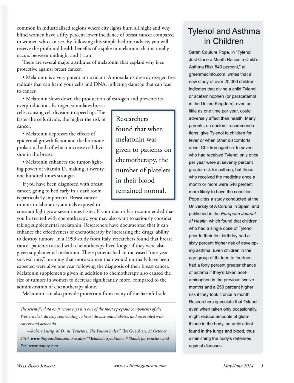 Well Being Journal Preview Pages