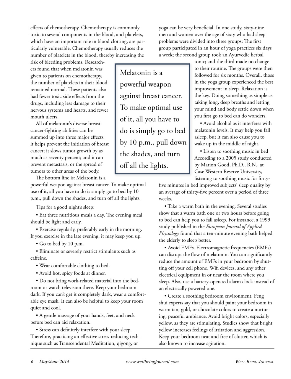 Well Being Journal Preview Pages