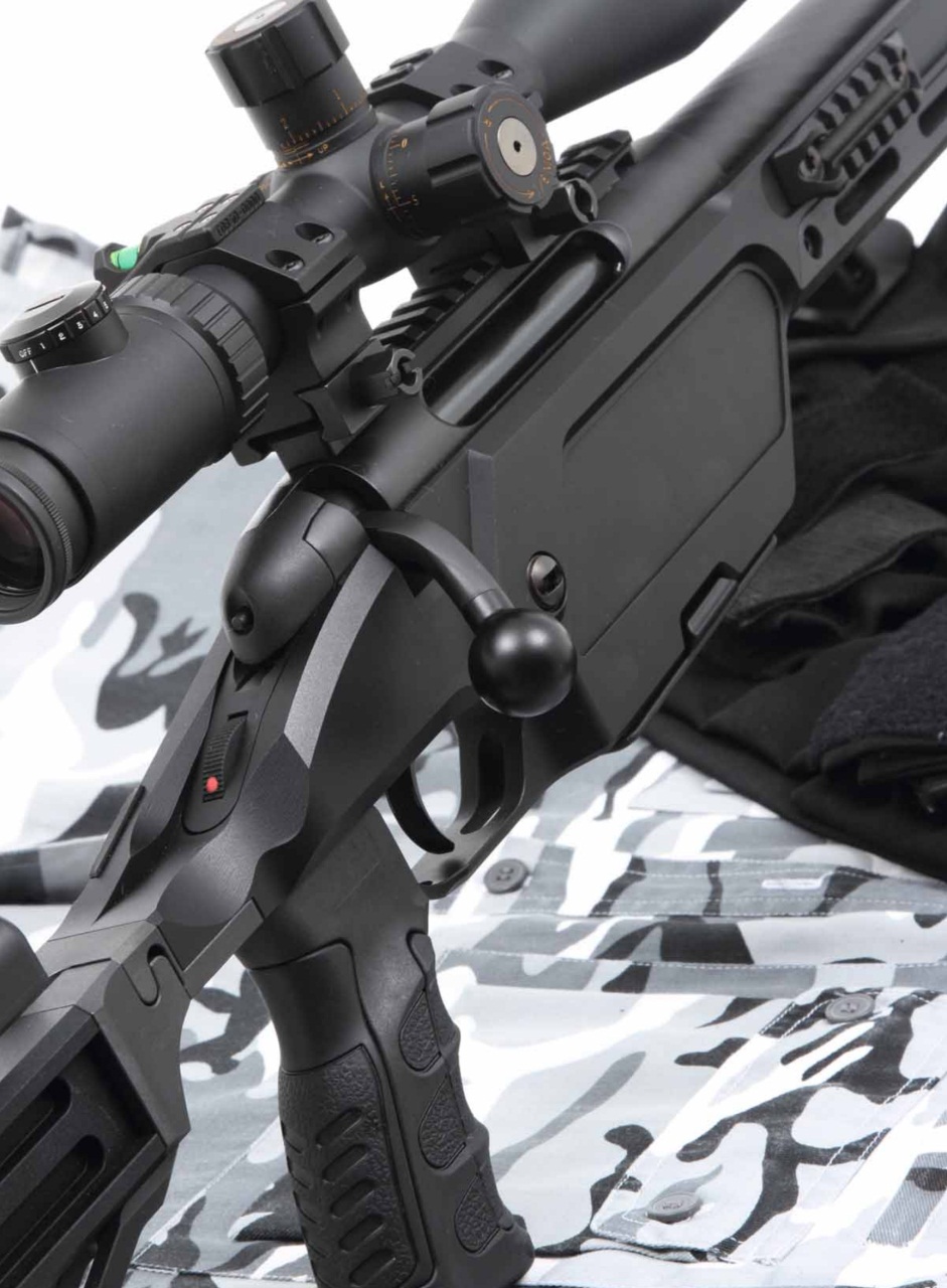 Armi E Tiro Preview Pages