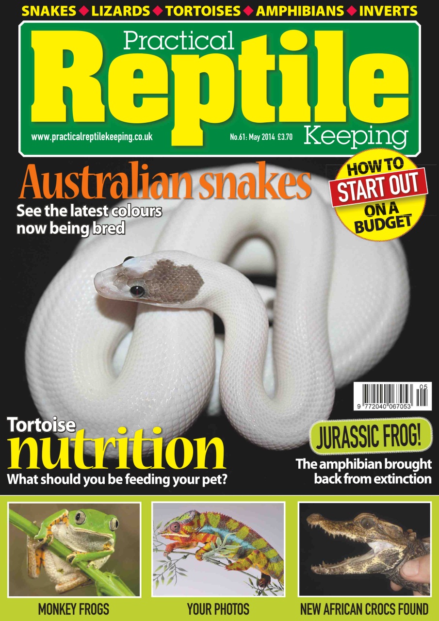 Practical Reptile Keeping Preview Pages