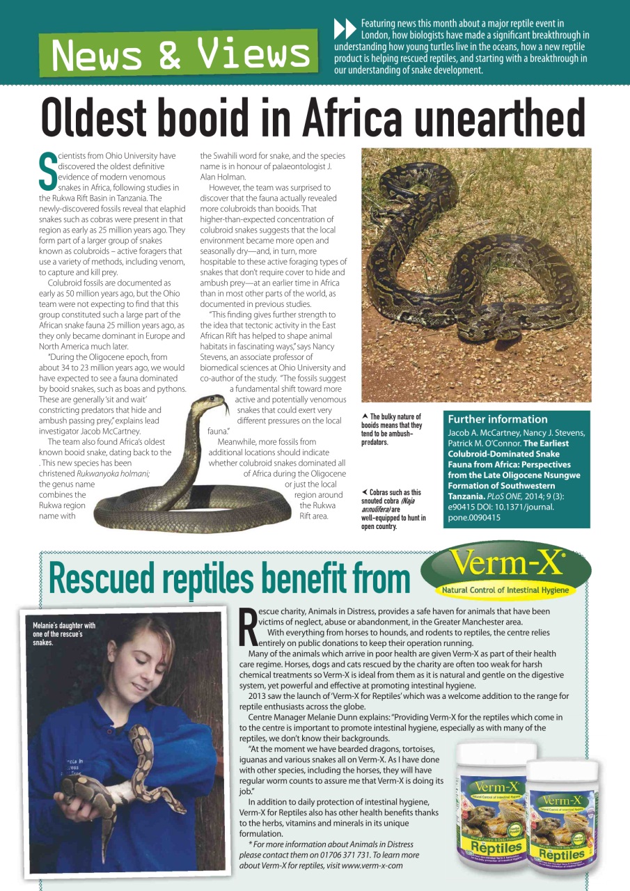 Practical Reptile Keeping Preview Pages