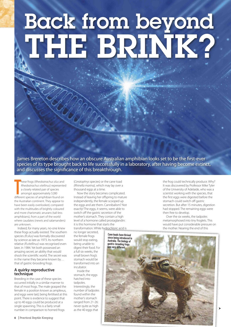 Practical Reptile Keeping Preview Pages