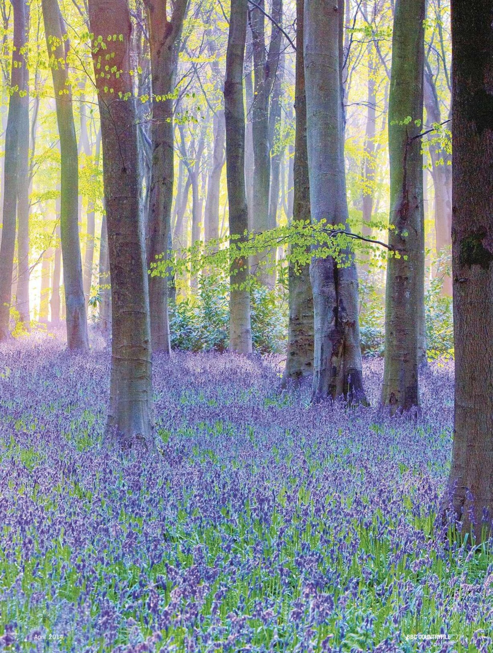 BBC Countryfile Magazine Preview Pages