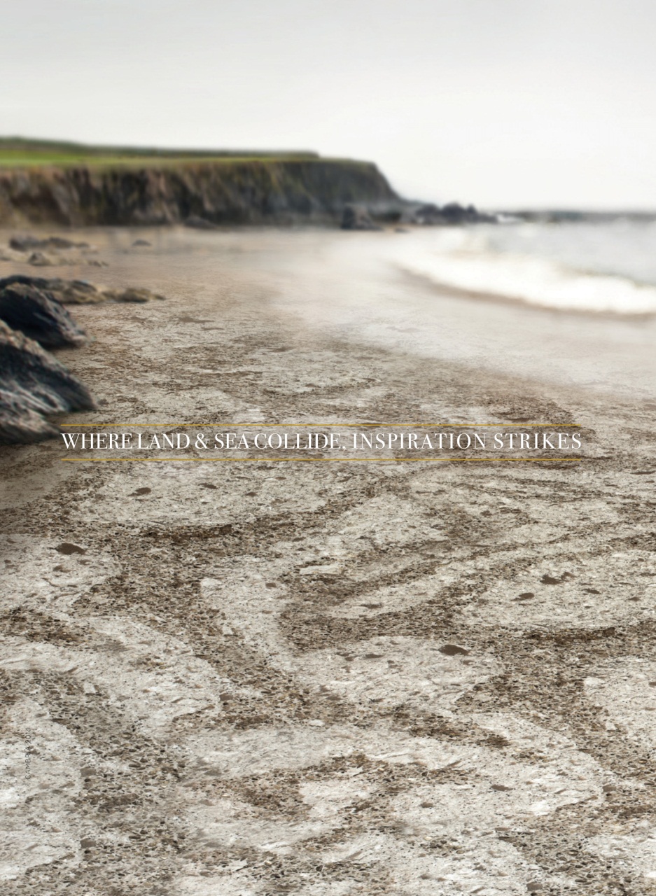 Toronto Life Preview Pages