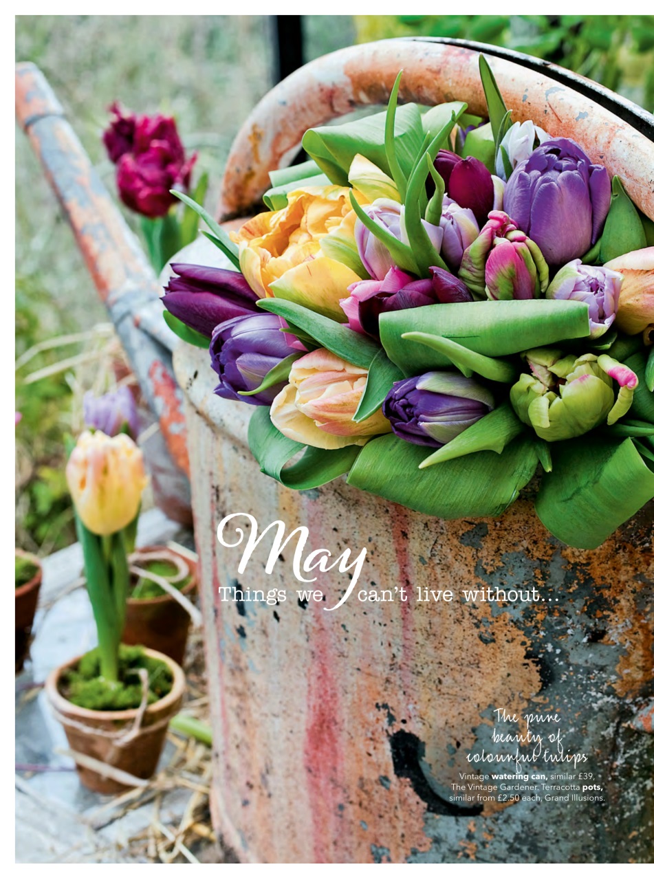 Country Homes & Interiors Preview Pages