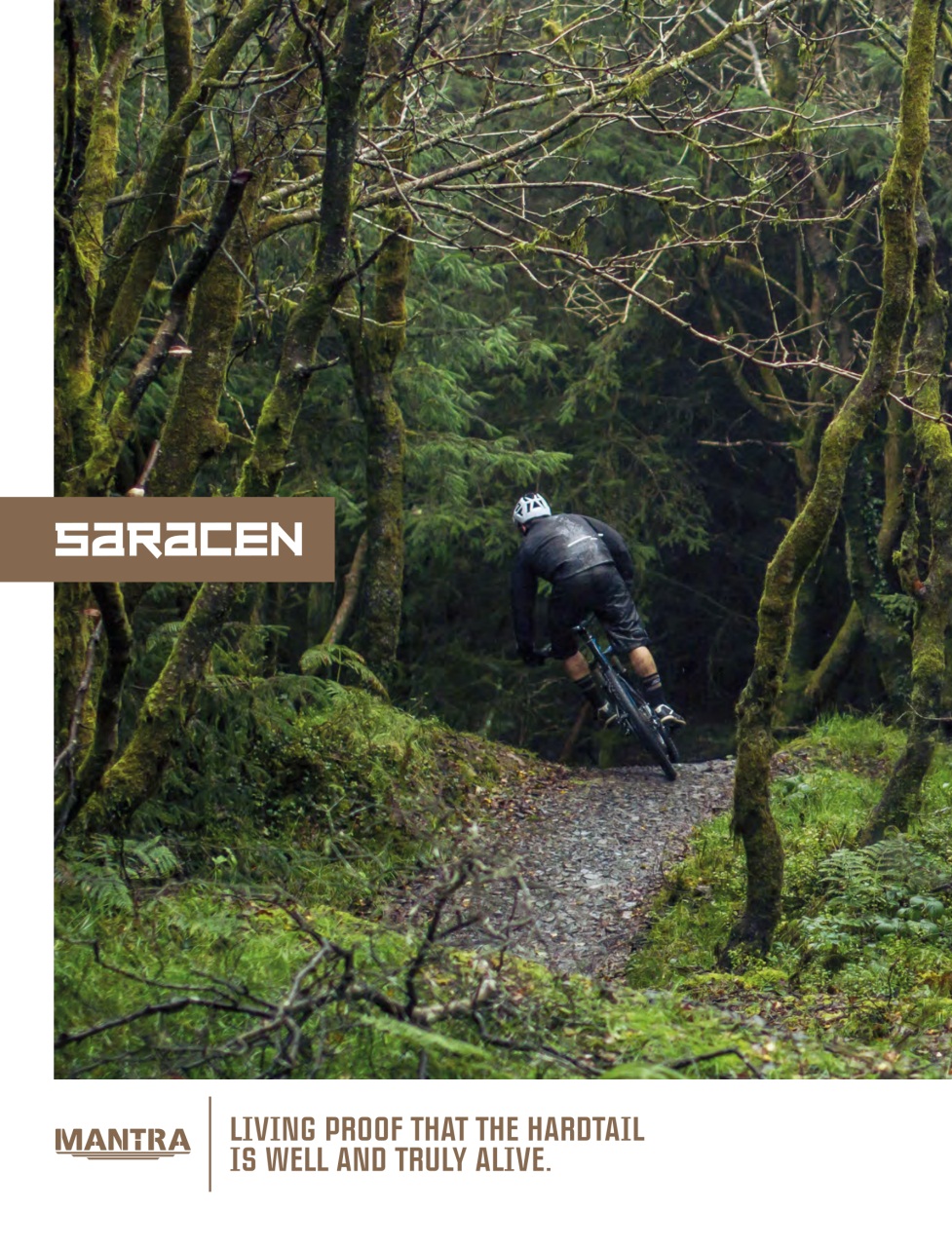 Mountain Bike Rider Preview Pages