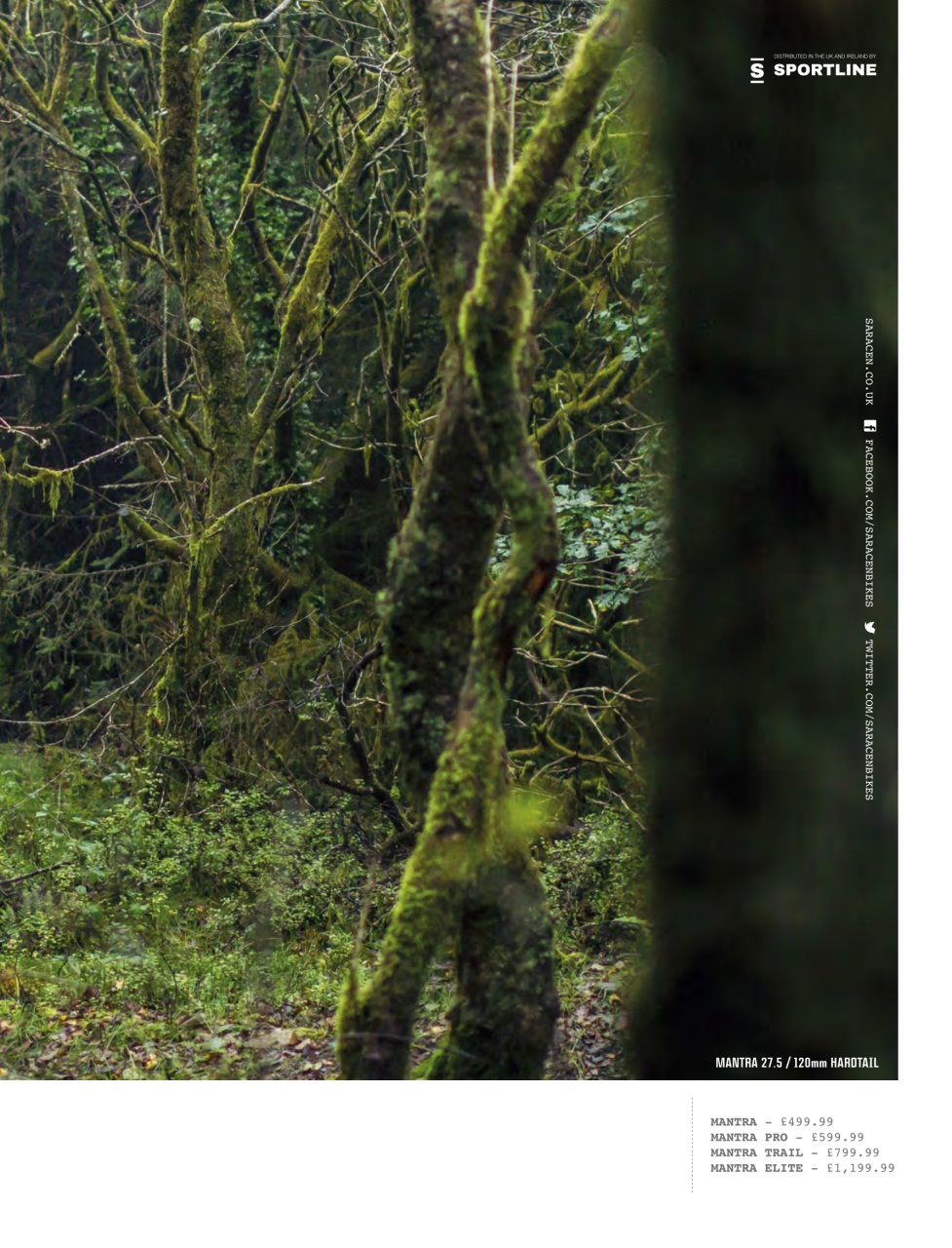 Mountain Bike Rider Preview Pages