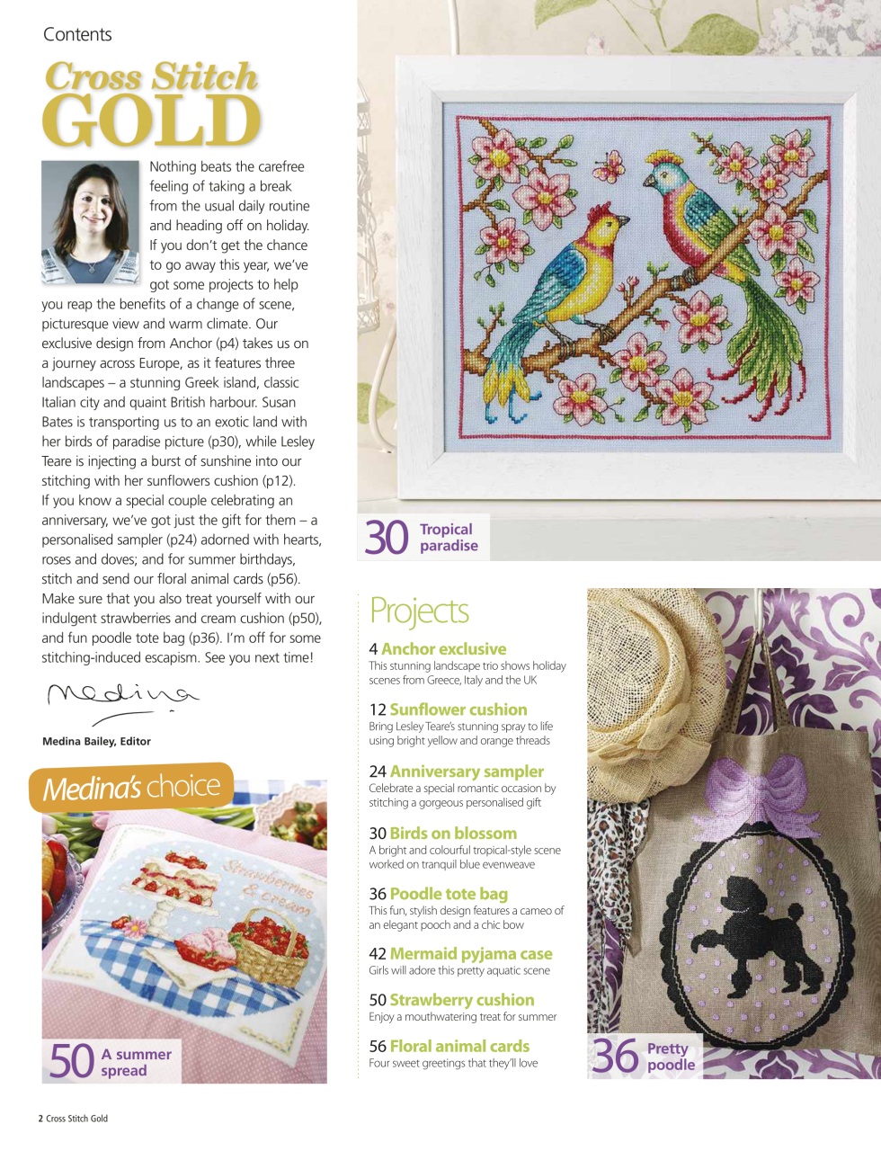Cross Stitch Gold Preview Pages
