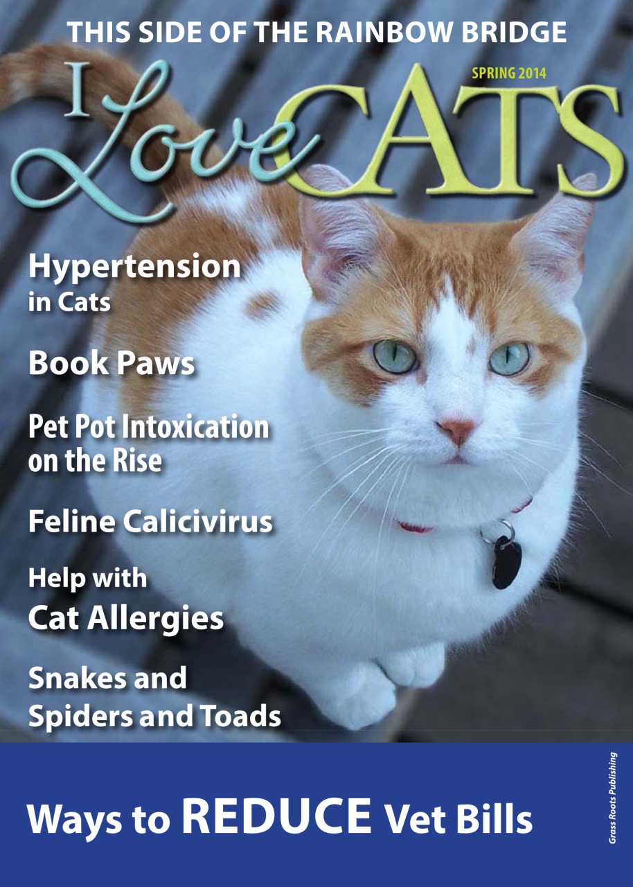 I Love Cats Preview Pages