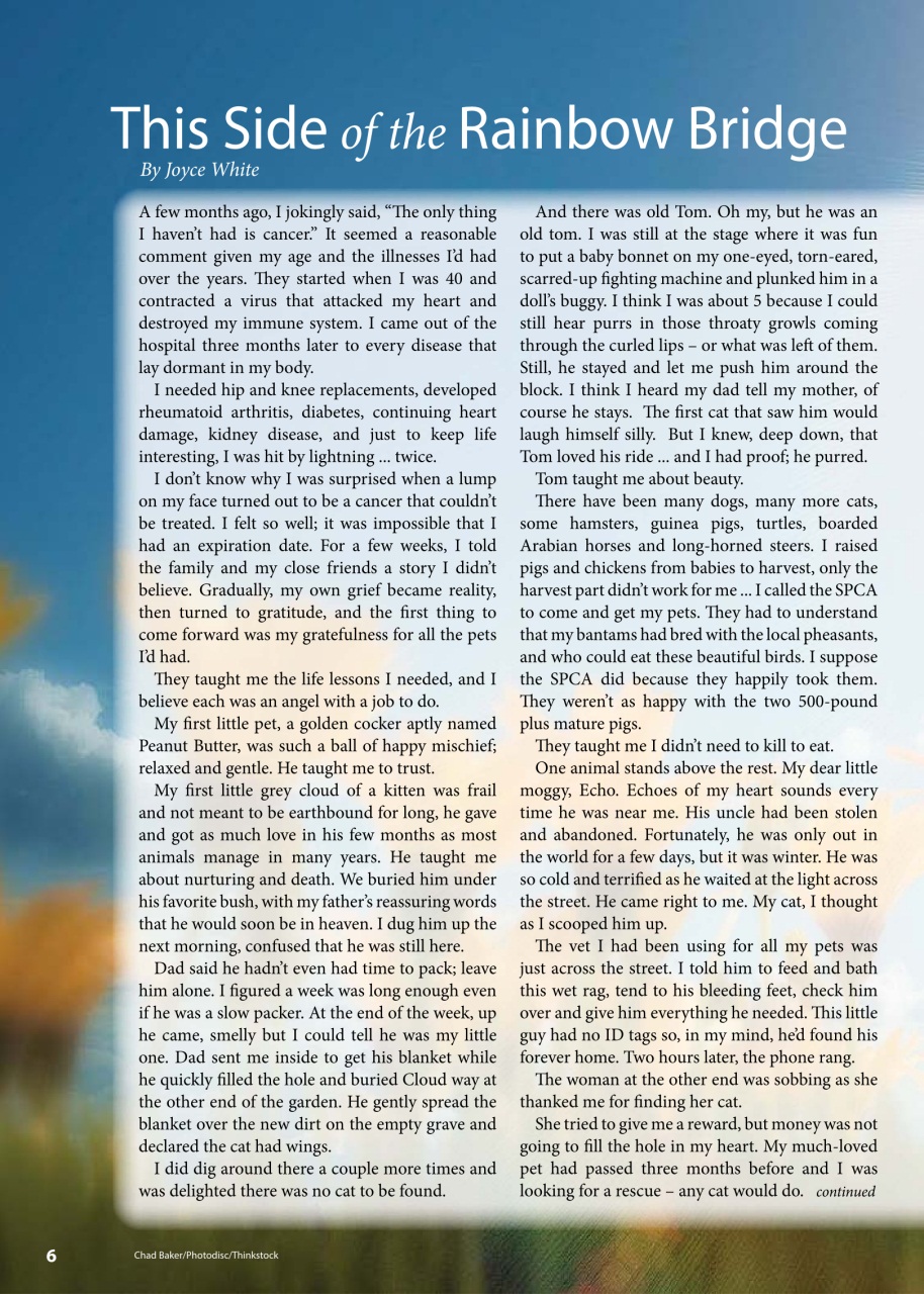 I Love Cats Preview Pages