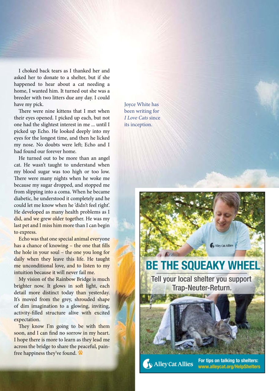 I Love Cats Preview Pages